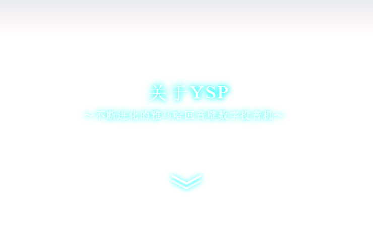 关于YSP